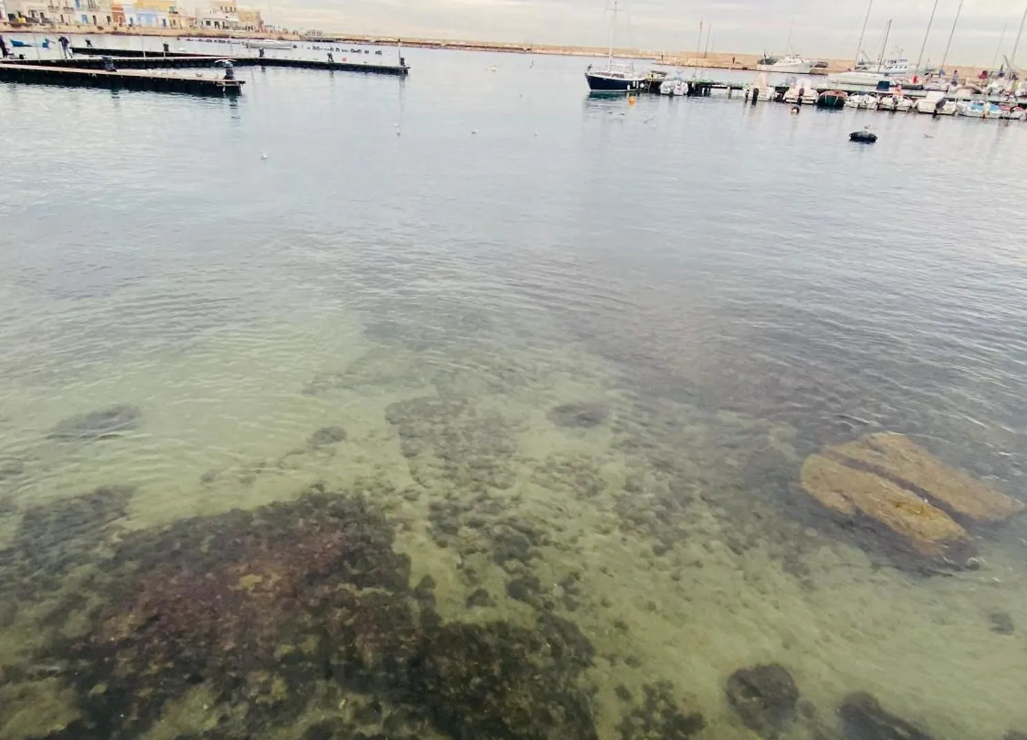 Zolazale A Mare Alloggio Privato Bari 0*,  Italy